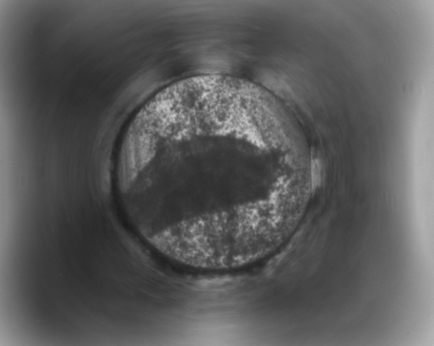 X0000089750243200707201928