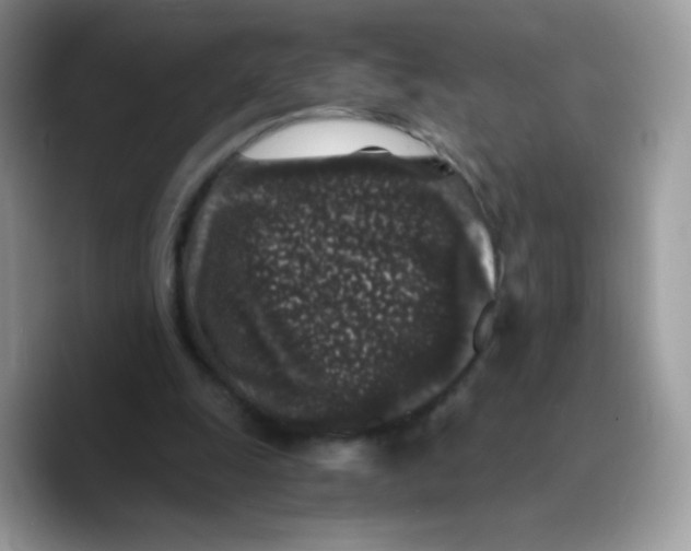 X0000089750247200707201928