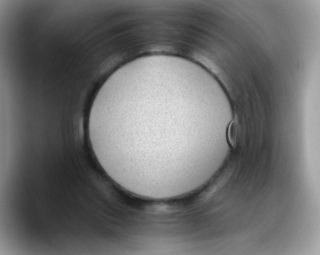 X0000089750253200707201928