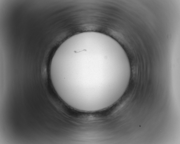 X0000089750254200707201928