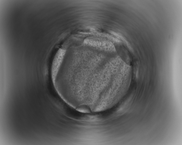 X0000089750260200707201928