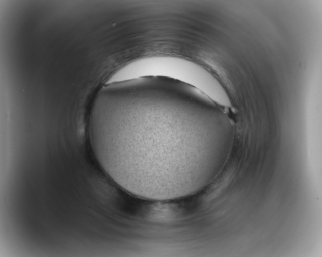 X0000089750261200707201928