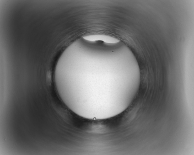 X0000089750262200707201928