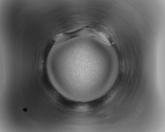 X0000089750263200707201928