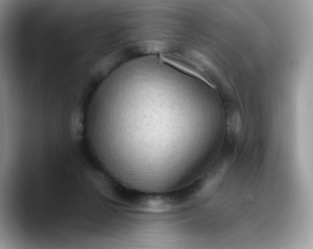 X0000089750264200707201928