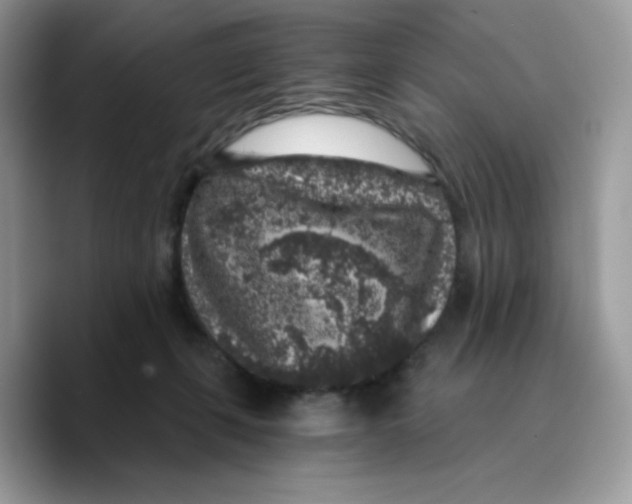 X0000089750271200707201928