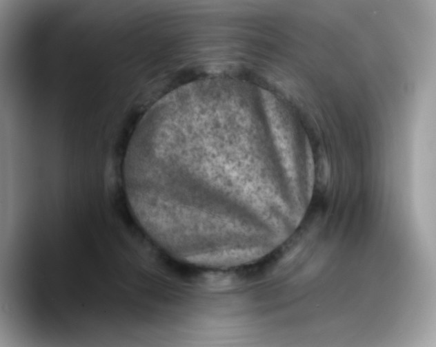 X0000089750272200707201928