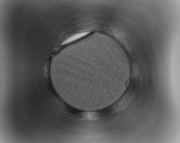 X0000089750273200707201928