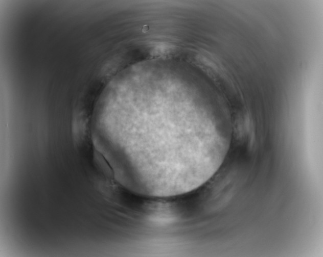 X0000089750276200707201928