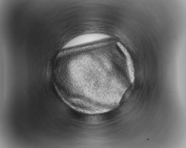 X0000089750277200707201928