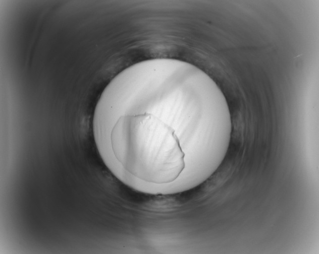 X0000089750278200707201928