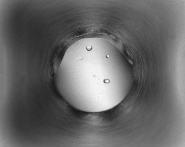 X0000089750280200707201928