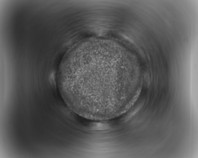 X0000089750286200707201928