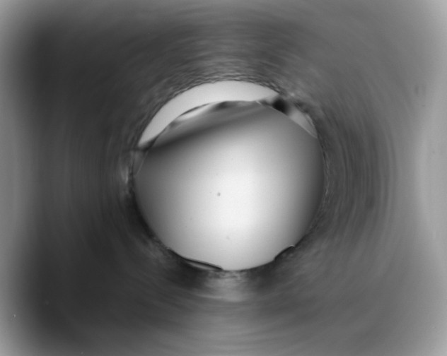 X0000089750288200707201928