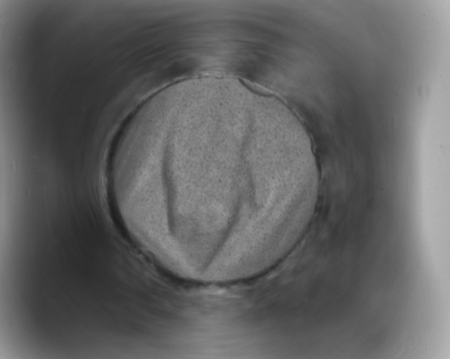 X0000089750290200707201928