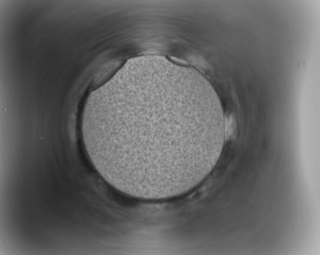 X0000089750291200707201928