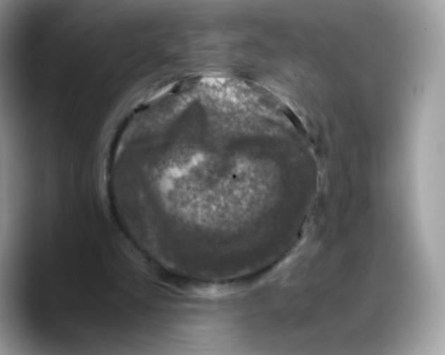 X0000089750293200707201928