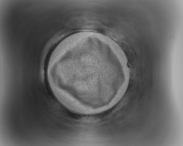 X0000089750294200707201928