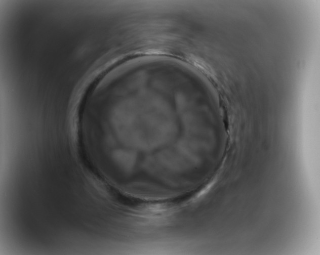 X0000089750295200707201928