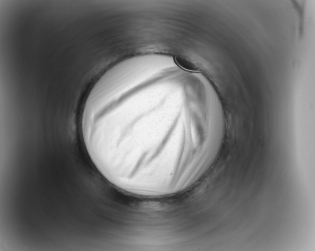 X0000089750298200707201927