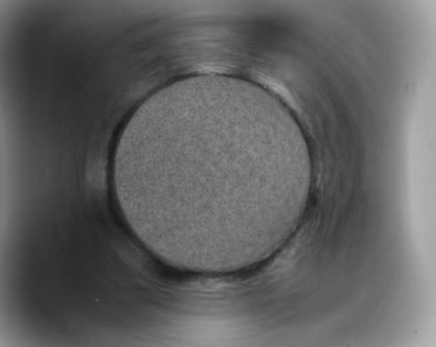 X0000089750299200707201927