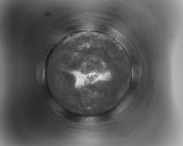 X0000089750301200707201927