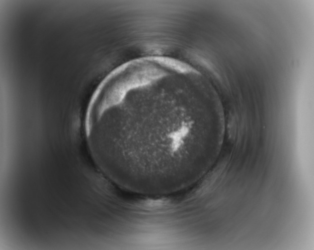 X0000089750314200707201927