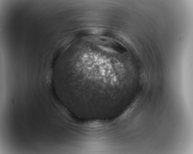 X0000089750325200707201927