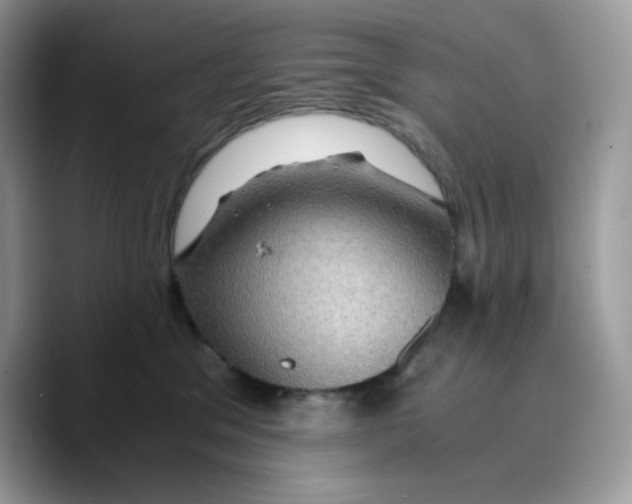 X0000089750329200707201927