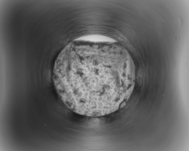 X0000089750330200707201927