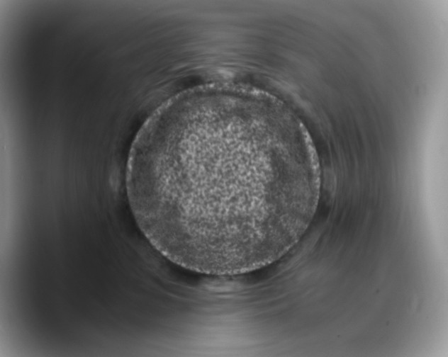 X0000089750331200707201927