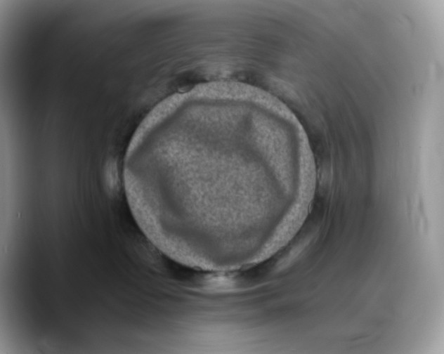 X0000089750335200707201927