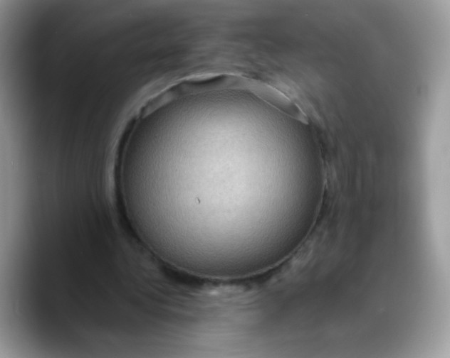 X0000089750340200707201926