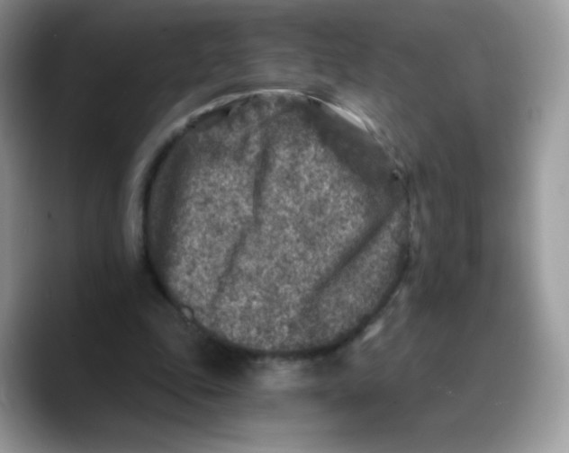 X0000089750343200707201926