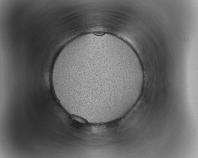 X0000089750345200707201926