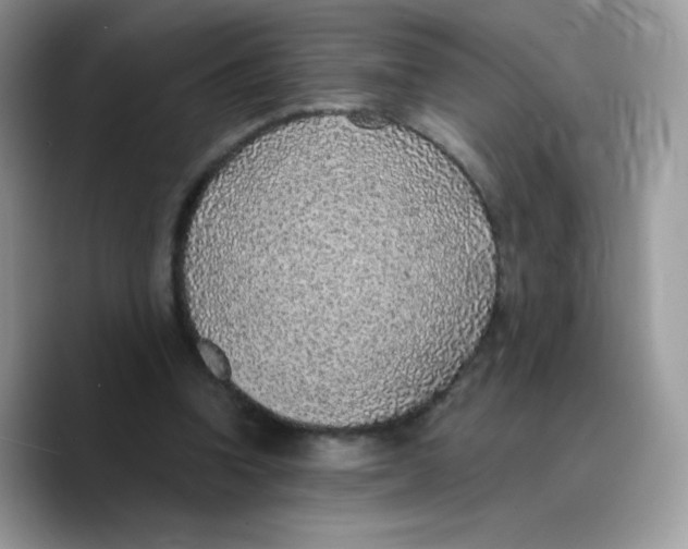 X0000089750346200707201926