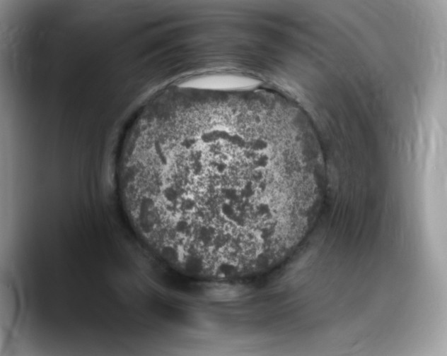 X0000089750347200707201926