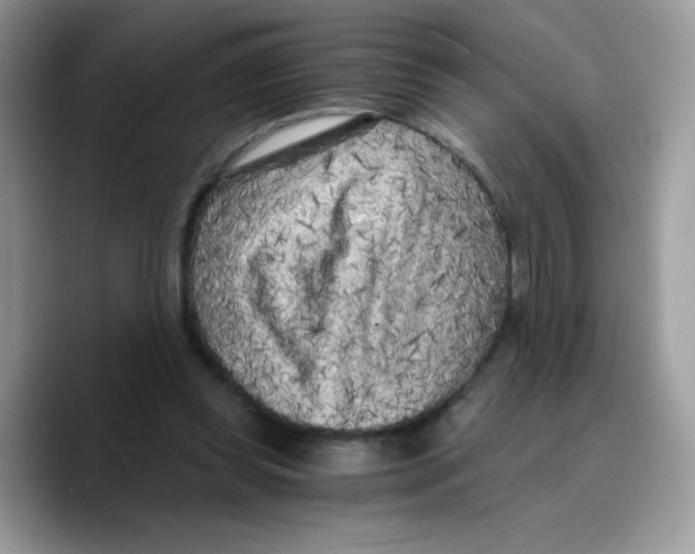 X0000089750349200707201927