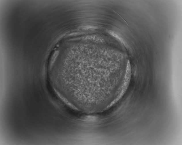 X0000089750352200707201927