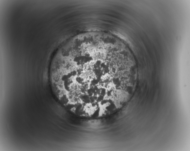 X0000089750353200707201927