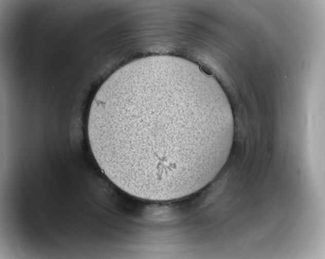 X0000089750354200707201927