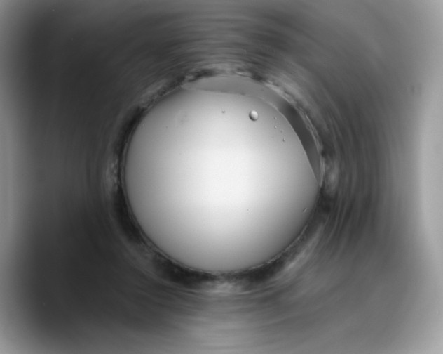 X0000089750356200707201927