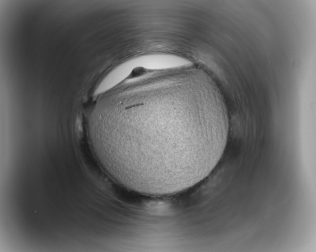 X0000089750358200707201927