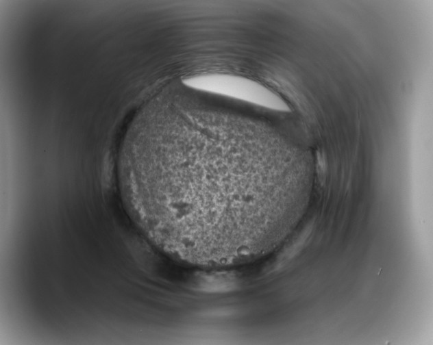 X0000089750359200707201927