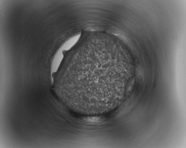 X0000089750361200707201927