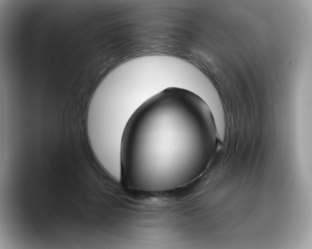 X0000089750364200707201927