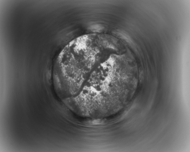 X0000089750365200707201927