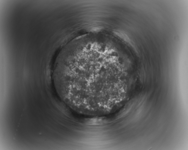 X0000089750366200707201927