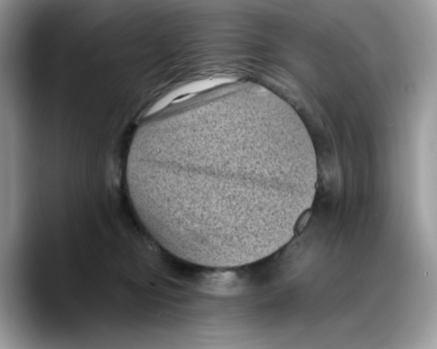 X0000089750374200707201927