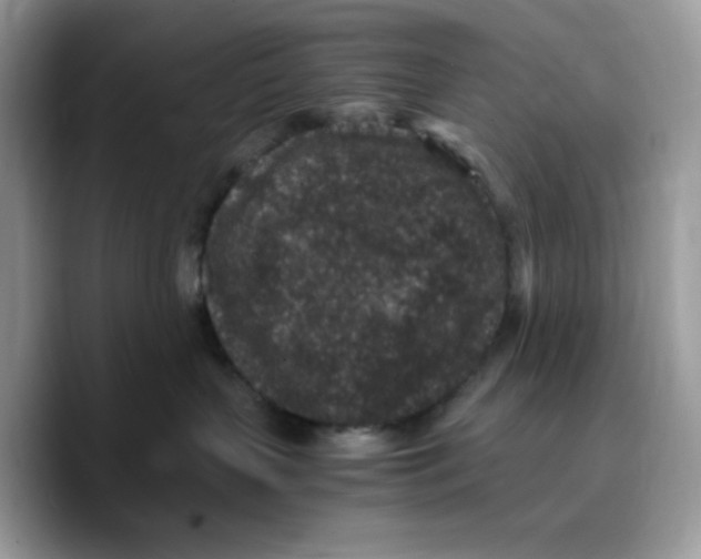 X0000089750383200707201927